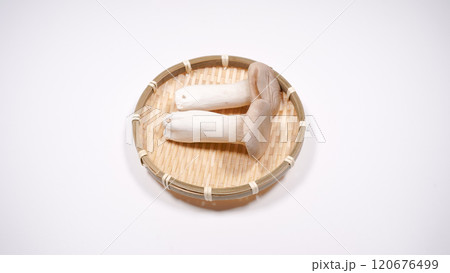 エリンギ エリンギ 120676499