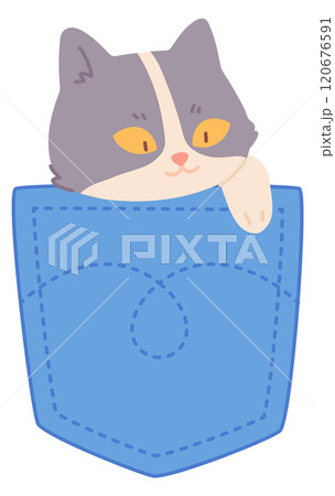 Pocket cat color icon. Funny baby animal Pocket cat color icon. Funny baby animal 120676591