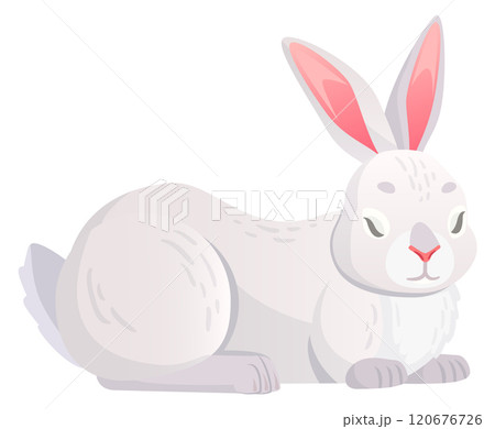 Sleeping rabbit. White bunny rest cartoon icon Sleeping rabbit. White bunny rest cartoon icon 120676726