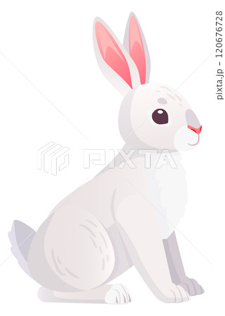 Wild rabbit. White fur animal. Cartoon hare Wild rabbit. White fur animal. Cartoon hare 120676728