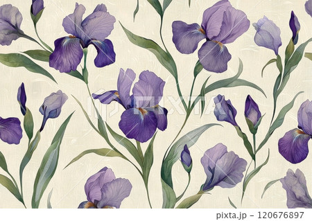 Delicate floral pattern with purple irises 120676897