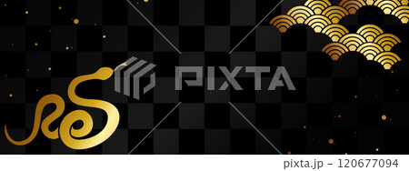 高級感のあるヘビのバナー ブラック&ゴールド 高級感のあるヘビのバナー ブラック&ゴールド 120677094