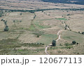 Panoramic photo of green fields and country roads on a sunny summer day. 120677113