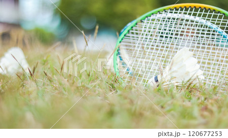 A badminton racket and shuttlecock resting on a grassy field, symbolizing the joy of outdoor sports, healthy living, and the importance of recreational activities to build fitness and bonds. 120677253