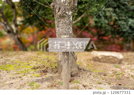 お手洗の場所を示す木の看板 お手洗の場所を示す木の看板 120677331