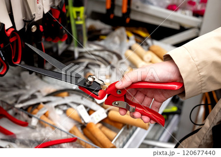 a customer chooses a garden shears for himself in a garden supply store. a customer chooses a garden shears for himself in a garden supply store. 120677440