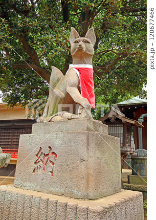 清水稲荷神社(板橋) 清水稲荷神社(板橋) 120677466