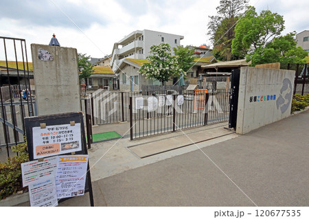 板橋こども動物園(板橋) 板橋こども動物園(板橋) 120677535