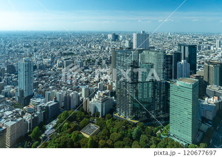 【東京】2024年　秋　大都会新宿高層階からの街並み　摩天楼の風景【日本 120677697