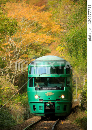 色付く水分峠を越える特急「ゆふいんの森」（JR九州） 120677711