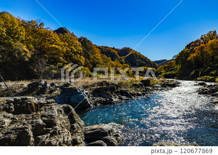 埼玉県長瀞町 紅葉の長瀞岩畳 埼玉県長瀞町 紅葉の長瀞岩畳 120677869