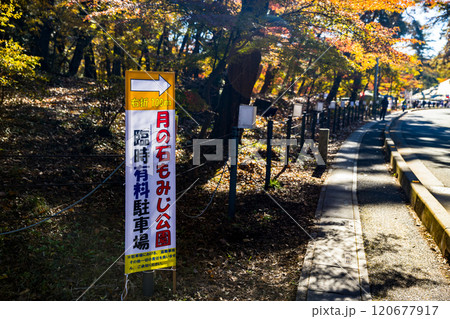埼玉県長瀞町 月のもみじ公園 埼玉県長瀞町 月のもみじ公園 120677917