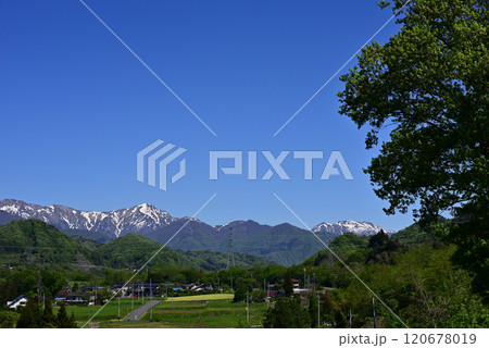 残雪の谷川岳と上州武尊山 120678019