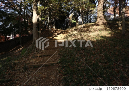 戸山公園 120678400