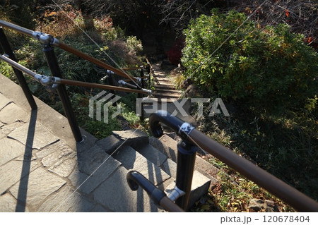 戸山公園 戸山公園 120678404
