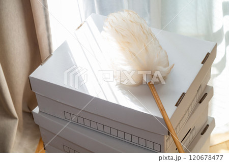 段ボールとホコリ取りの羊毛ダスター 120678477