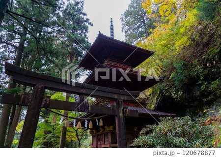 秋の榛名神社 三重塔 120678877