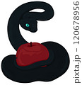 The serpent-tempter with red apple illustration 120678956