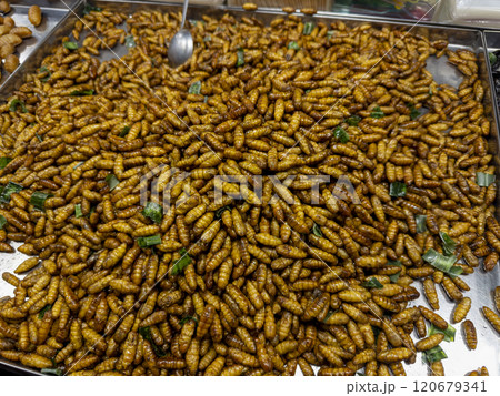 Deep fried bamboo caterpillar, local northern Thailand food, Thai street food Deep fried bamboo caterpillar, local northern Thailand food, Thai street food 120679341