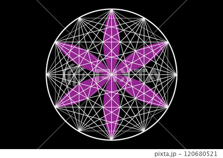 Seal of sacred geometry, Flower of life, purple lotus flower. mandala ornament Seed of Life icon, esoteric or spiritual symbol. Logo line art design isolated on black background, vector illustration 120680521