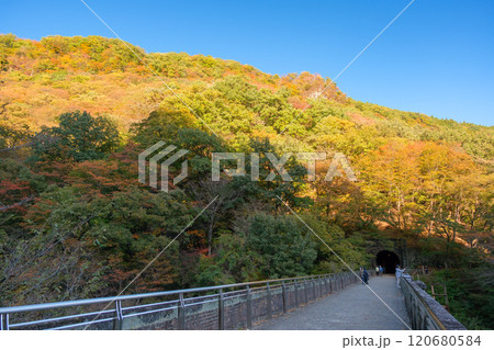 群馬県安中市 秋の碓氷峠、アプトの道、めがね橋の遊歩道 120680584