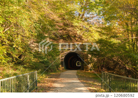 群馬県安中市 秋の碓氷峠、アプトの道 群馬県安中市 秋の碓氷峠、アプトの道 120680592