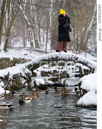 Winter Scene with Ducks and a Walker on a Snowy Bridge Winter Scene with Ducks and a Walker on a Snowy Bridge 120681084
