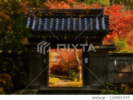 紅葉が美しい秋の山門 120681243