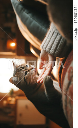 The image depicts a warm interaction between a human hand and a fluffy cat basking in soft sunlight indoors. 120681324