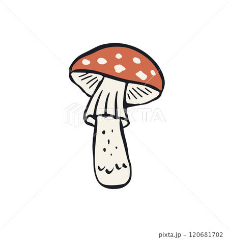 Hand drawn inky sketch style amanita mushroom 120681702