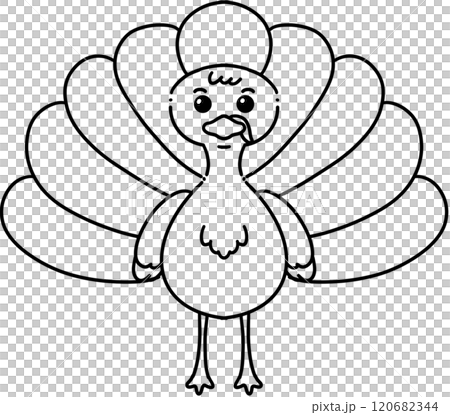 turkey turkey 120682344