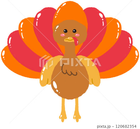 turkey turkey 120682354