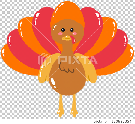 turkey turkey 120682354