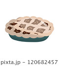 Pie Delicious Vector Illustration on White Background 120682457