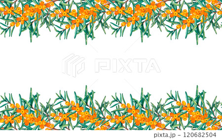 Seamless Border with sea buckthorn berries. Watercolor illustrations of ripe orange berries with leaves isolated. Clip Art Buckthorn berries for packaging cosmetics, foods, medicine and tea Seamless Border with sea buckthorn berries. Watercolor illustrations of ripe orange berries with leaves isolated. Clip Art Buckthorn berries for packaging cosmetics, foods, medicine and tea 120682504