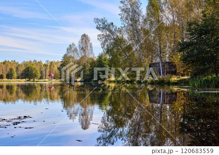 Tranquil Reflections: Trees Mirrored in River Waters 120683559