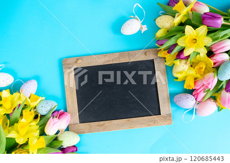 tulips and daffodils flowers 120685443