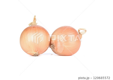 Two raw unpeeled onions on a white background. Two raw unpeeled onions on a white background. 120685572