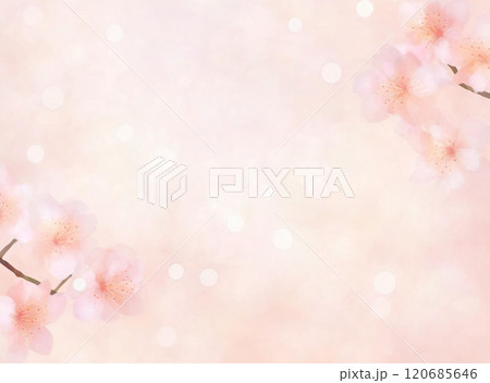 水彩のシンプルで可愛いピンクの抽象桜の背景 120685646
