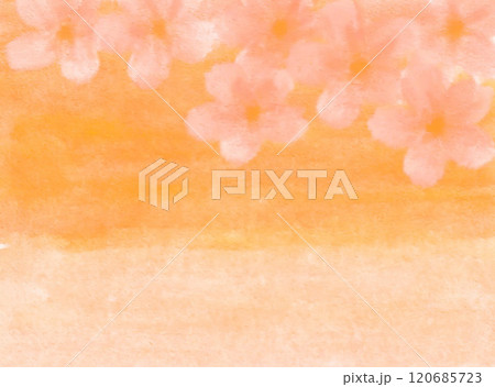 水彩のオレンジ色の桜のほっこり和風背景 水彩のオレンジ色の桜のほっこり和風背景 120685723