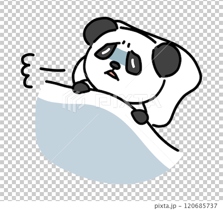 眠れないパンダの手書き風キャラクター 120685737