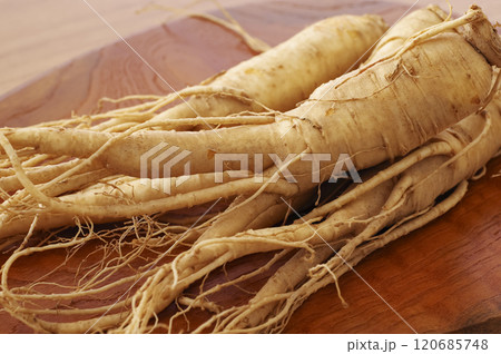 たくさんの高麗人参 120685748