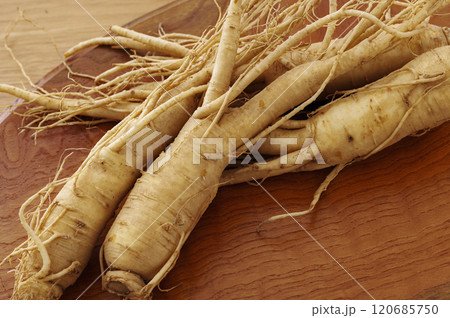 たくさんの高麗人参 120685750
