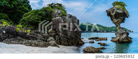 りんご岩（傘岩）柿泊海岸　ながさきサンセットロード　パノラマ　【長崎市】 120685932