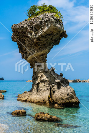 りんご岩（傘岩）柿泊海岸　ながさきサンセットロード　【長崎市】 120685939