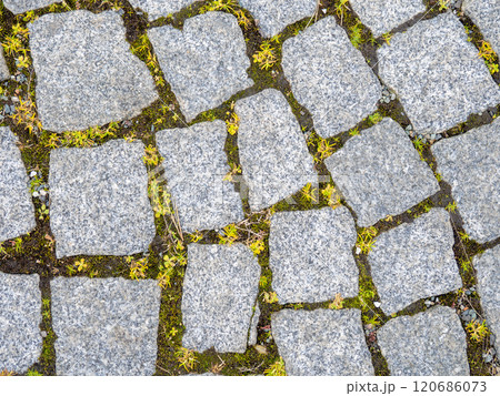 Pattern of sea stones t. Ground cover in the park. Background with bumps. Background of  concrete. 120686073