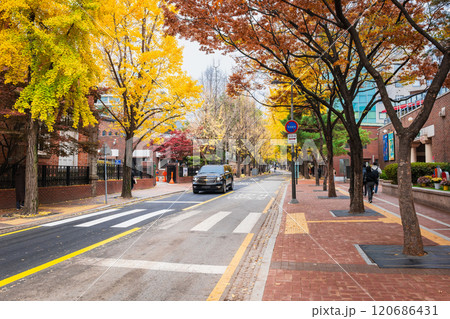 秋のソウル　チョンドンギル（貞洞通り） 120686431