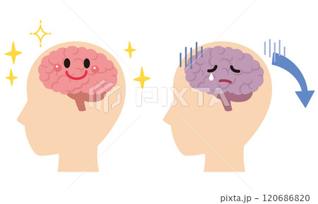 元気な脳とストレスを受けた脳　脳のイメージ　健康 120686820
