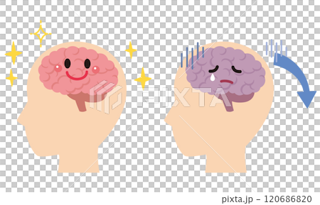 元気な脳とストレスを受けた脳　脳のイメージ　健康 120686820