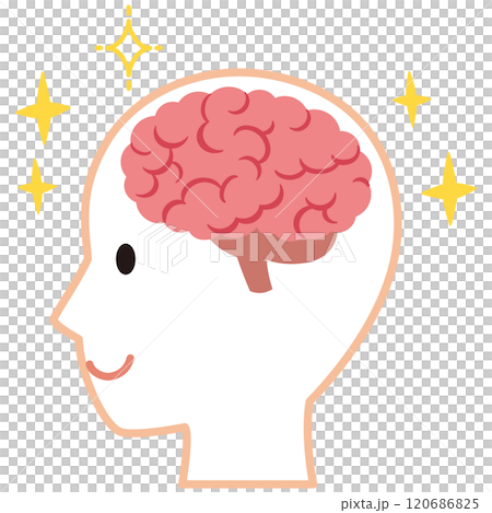 大腦影像健康 大腦影像健康 120686825